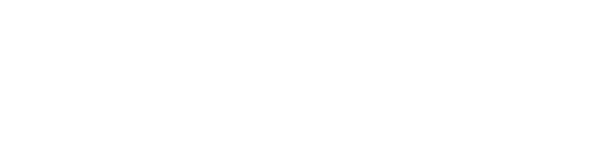 SengS Logo